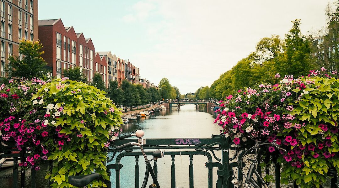 A flower-filled canal in the heart of Amsterdam. MattDavey@unsplash