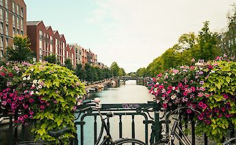 A flower-filled canal in the heart of Amsterdam. MattDavey@unsplash