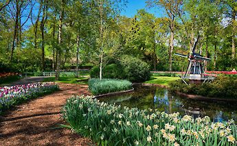 Spring flowers in bloom at Keukenhof. toBBT
