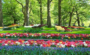 Colorful flower displays throughout the park. LaylaAitLaaraj@unsplash