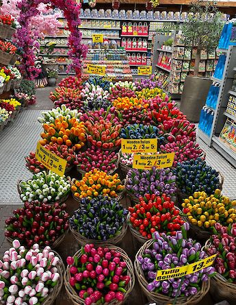 Colorful tulips and flowers on display in Amsterdam. VladViu@pexels