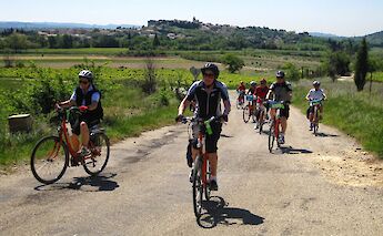 Guided cycling through the Provençal countryside. toBBT