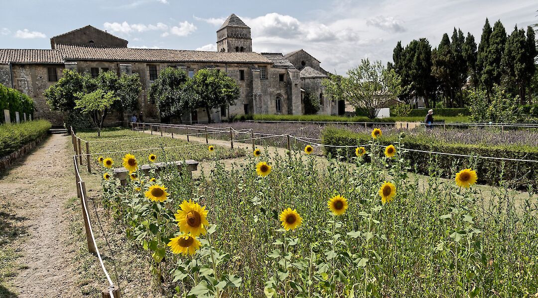 Saint-Paul-de-Mausole monastery and gardens. AlanE@Flickr
