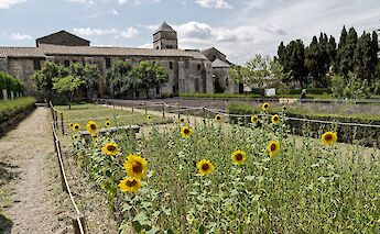Saint-Paul-de-Mausole monastery and gardens. AlanE@Flickr
