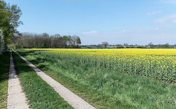 Cycling through the countryside near Lauenburg. wolfgangweiser@unsplash