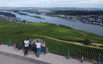 Rhine vineyards overlooking Rüdesheim. toBBT