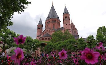 Mainz Cathedral in the historic center. toBBT