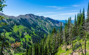 The green hills of Bozeman, Montana, USA. Trevor Vannoy@Unsplash