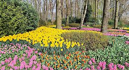 Holland's Tulip Country by Bike & Boat