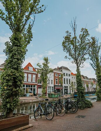 Canal-side architecture in historic Leiden. Manolyaizgigezgin@pexels