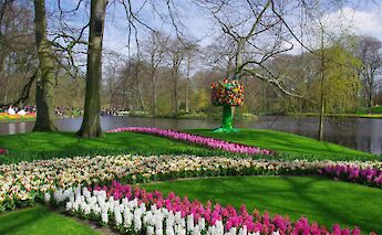 Landscaped flower gardens at Keukenhof. Rexton@pixabay