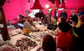 Fresh seafood at a local fish market in Veneto. toGL