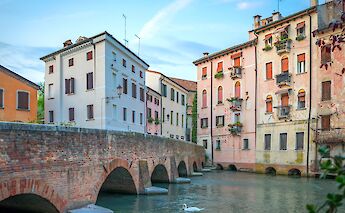 Canals and historic architecture in Treviso. toGL