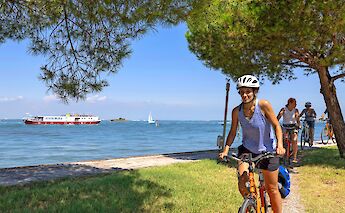 Cycling beside the water under the pines. toGL