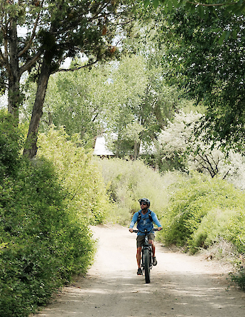 E-bike tour through the trees in Taos, New Mexico, USA. CC:TO