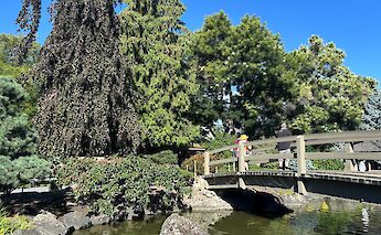 The beautiful Kasugai Gardens, Kelowna, British Columbia, Canada. CC:TO