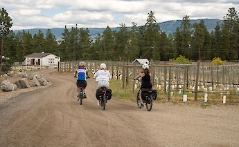 Cycling out of the winery. CC:TO