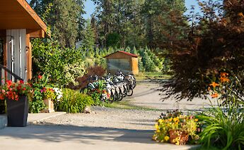 E-bikes parked at the winery. CC:TO
