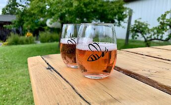 Honey mead tastings. CC:TO