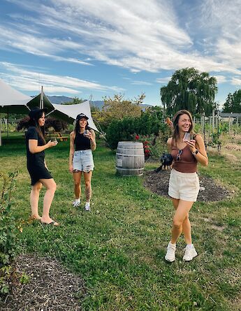 Outdoor wine tastings. CC:TO