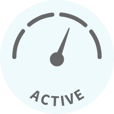 Active (inactive)
