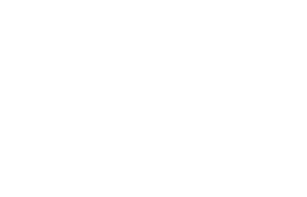 International Air Transport Association logo